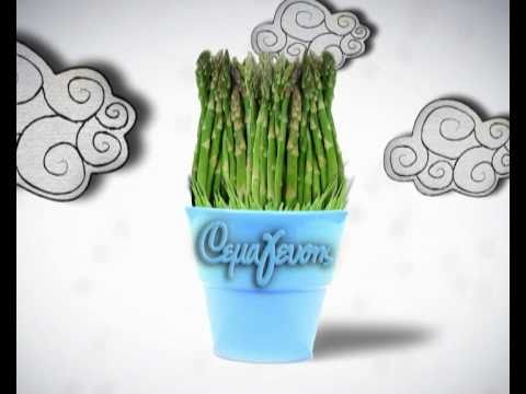 THEMA GEYSHS (SYNTAGES - EKPOMPH 1) - PLUS TV