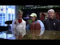 cockroach prank cock roach beatle back chase hat scream candid camera nalts wifeofnalts babysitterofnalts