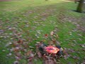 associated rc8 fioroni mgm compro 160A Medusa 2000kv brushless motor running on 6s lipo associated rc8 fioroni mgm compro 160A Medusa 2000kv brushless motor running on 6s lipo