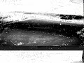Ora 1800 elctric R/C glider