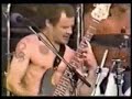 Red Hot Chili Peppers Live in San Francisco 1996 (PART 1) Red Hot Chili Peppers Live in San Francisco 1996 (PART 1)