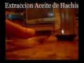 Extraccion Aceite de Hachis (+18) Extracting oil from hashish