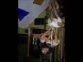 videos de The founders of Pretty pony productions!