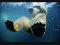 aural imbalance - aqua: sition