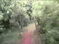 Torcs race lap 1 part b