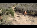 ezride0225 - 