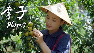 Chinese plums. With DianXi XiaoGe ...    