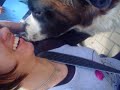 bethoven-lambendo-a-nany-oo.html