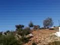 Santa Catarina - Veiros