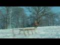 The Children Trailer 2008