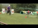 Jiggy - September 13th Agility Trail