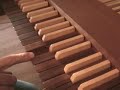 Organ Tour - Part 1 of 2