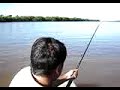 piraiba 1,80 rio araguaia