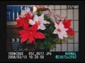 Nikon D60 Demo Review Tips Tricks
