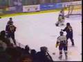 Huge Hockey Brawl