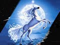The last unicorn The last unicorn