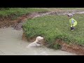 Boy Beats dog in Barking Contest