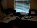 Tour of my room at law school