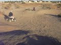 mi salto 2