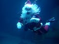 Adventure Aquarium; Scuba Santa Adventure Aquarium; Scuba Santa