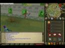 me being stupid on runescape
