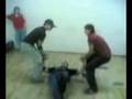 videos de aua^^