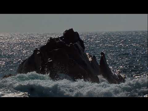 Image de prévisualisation YouTube