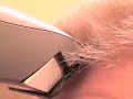 Remington Hair Cutter