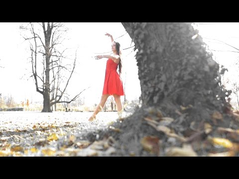 Youtube Video QPKGL82KfGA