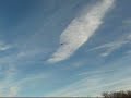 Homemade RC Plane with Crash Homemade RC Plane with Crash