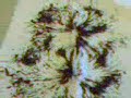 magnetisme