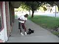 Basic Obedience Demonstration with a Labradoodle puppy