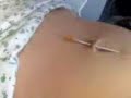belly button piercing