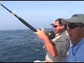 Marthas Vineyard Sharks Marthas Vineyard Sharks