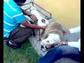 PEPE JR. Y LINDA (MONTA)