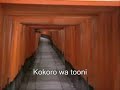 fushiinari