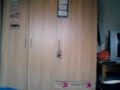 Crazy Chciken 2
