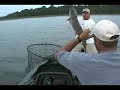 Musky Nut TV
