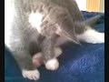 unser-kleiner-s-sser-schnuffel-.html
