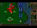tyrian netplay