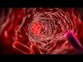 videos de Omega 6, ¿dónde se esconde?