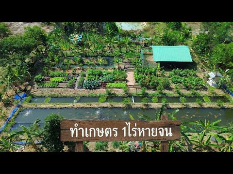 โมเดลเกษตรผสมผสาน