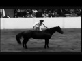 Equstrian commercial 2