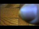 the alphabet song the alphabet song