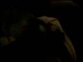 videos de Clay the rat