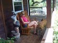 an-occurrence-at-kurts-pool.html