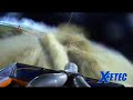 Jet Sprint Boat