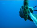 Underwater Photos, Cayo Largo, 2007