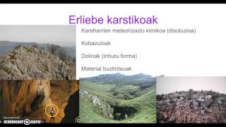 Erliebeak