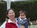 PICNIC IRDA 2008